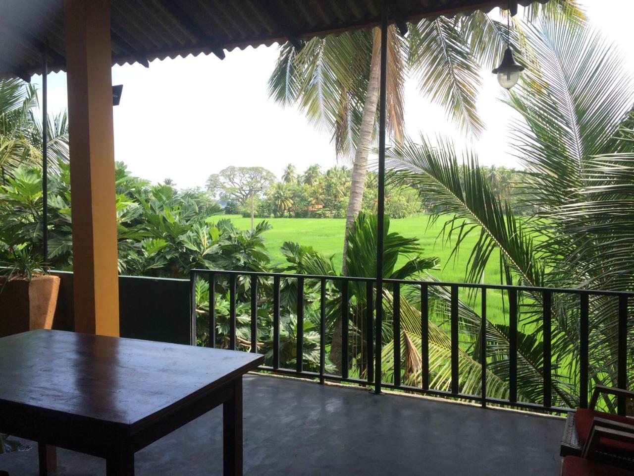 Hotel View Point Tissamaharama Buitenkant foto