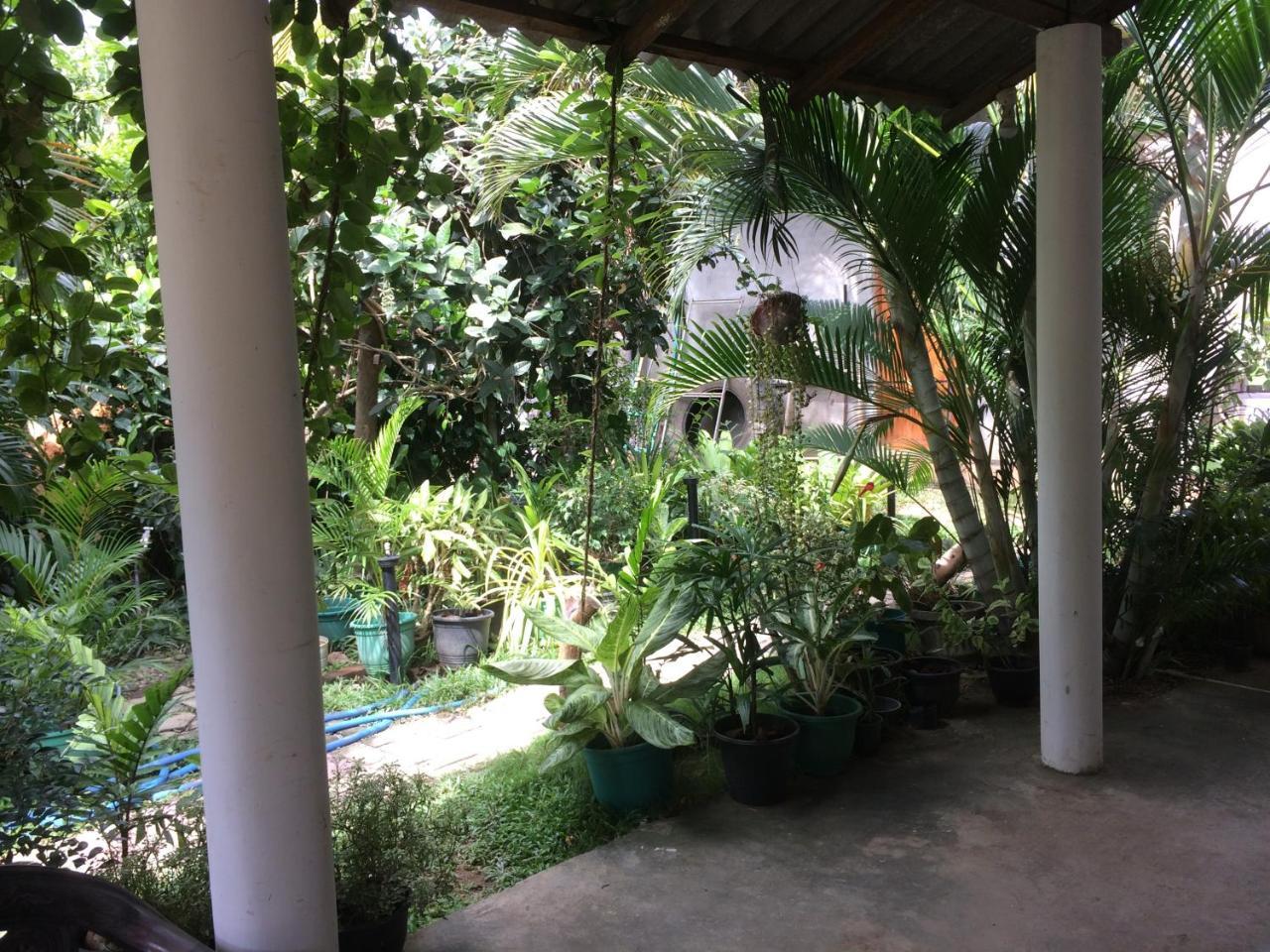 Hotel View Point Tissamaharama Buitenkant foto
