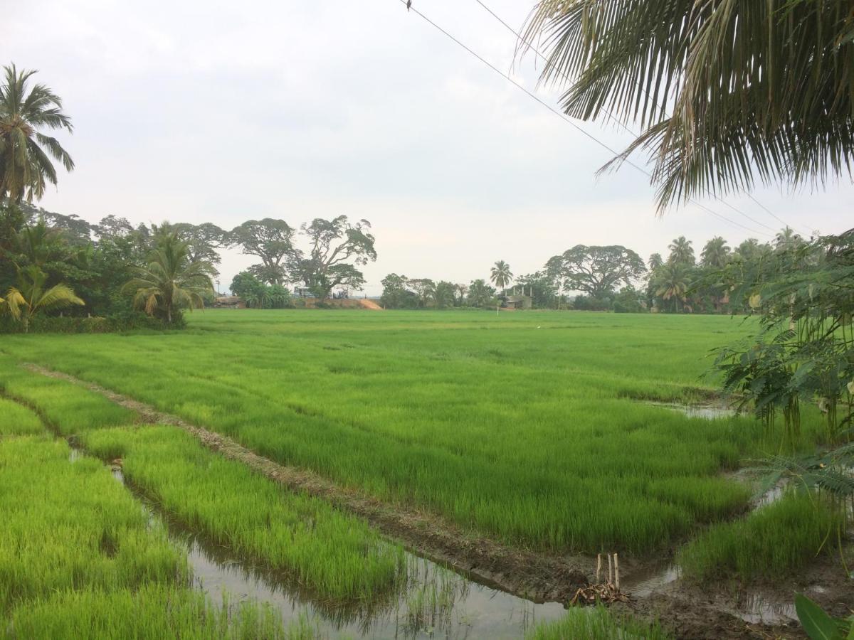 Hotel View Point Tissamaharama Kamer foto
